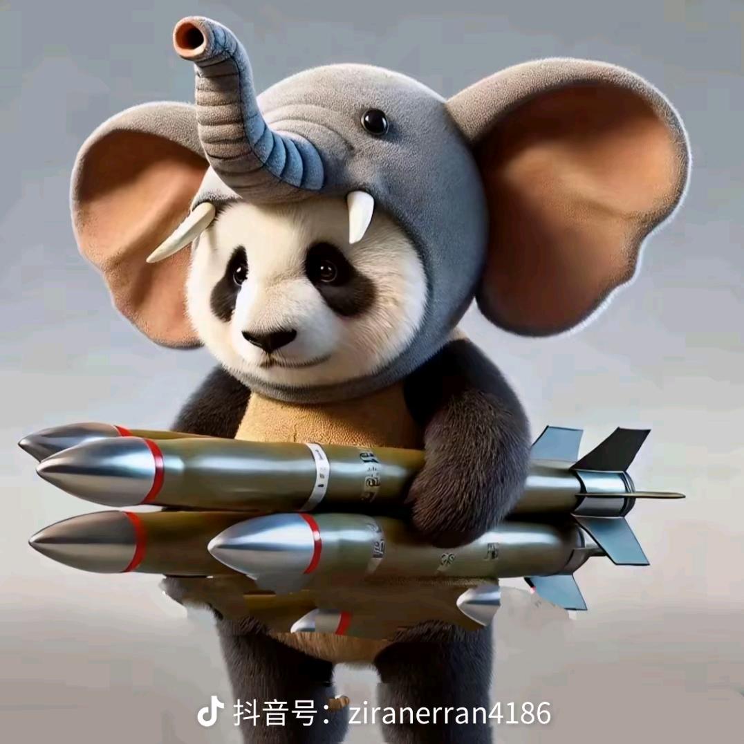 流年似水