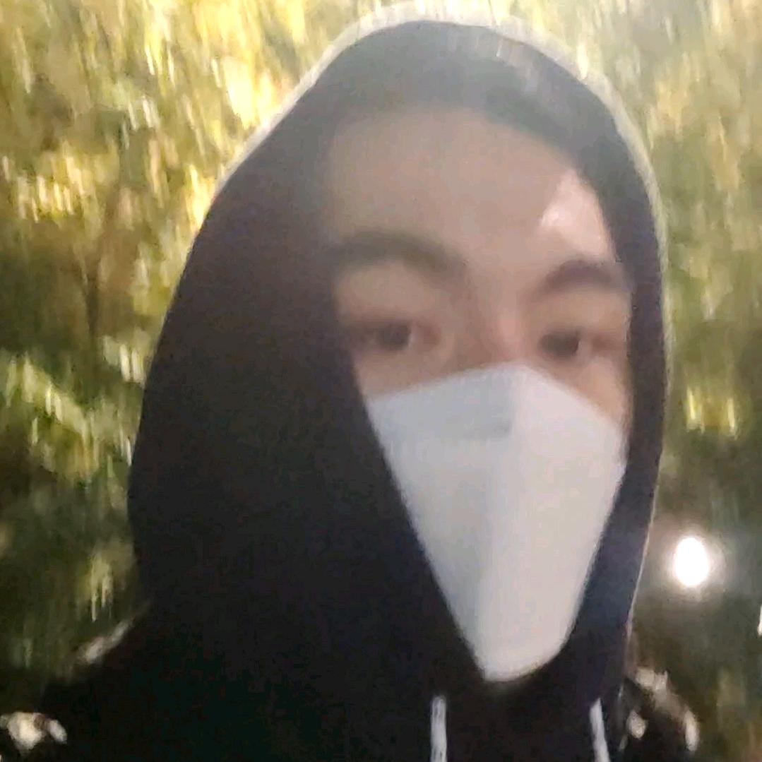 薯条怪盗