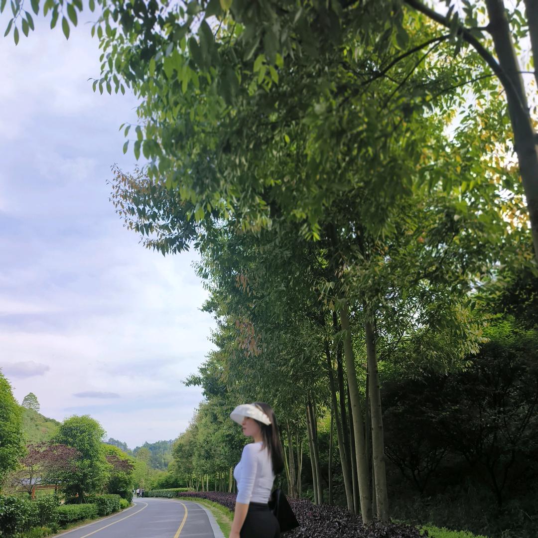 🍂像风捉不住～