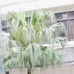 探险者ᝰ海洋