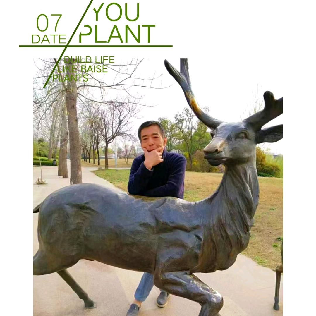 杨哥