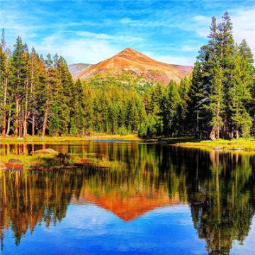 四川鑫众益新材料科技有限公司