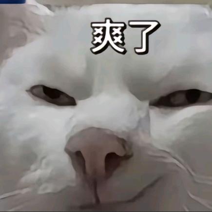 发财发财发财