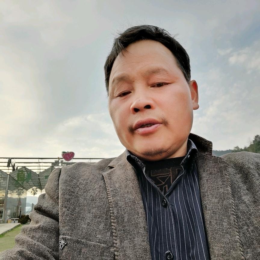 八爪鱼