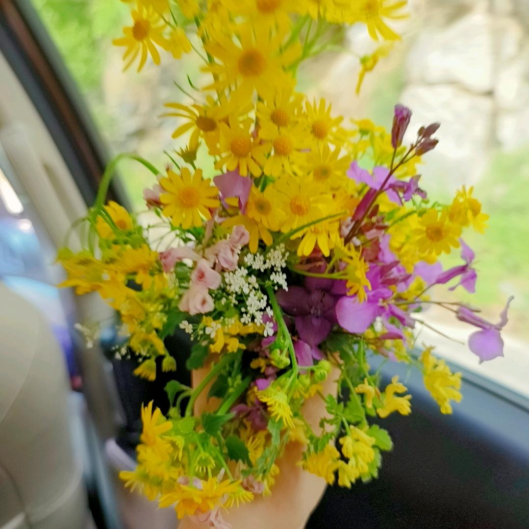 白色碎花裙