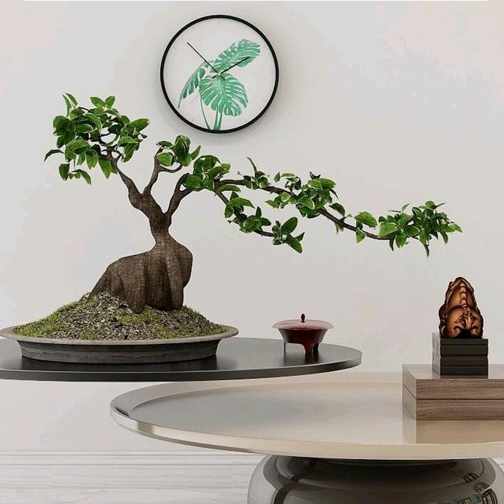 《心如止水》