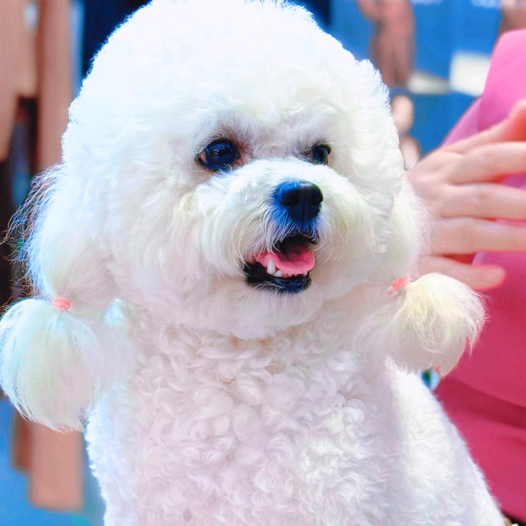 比心比熊好物馆