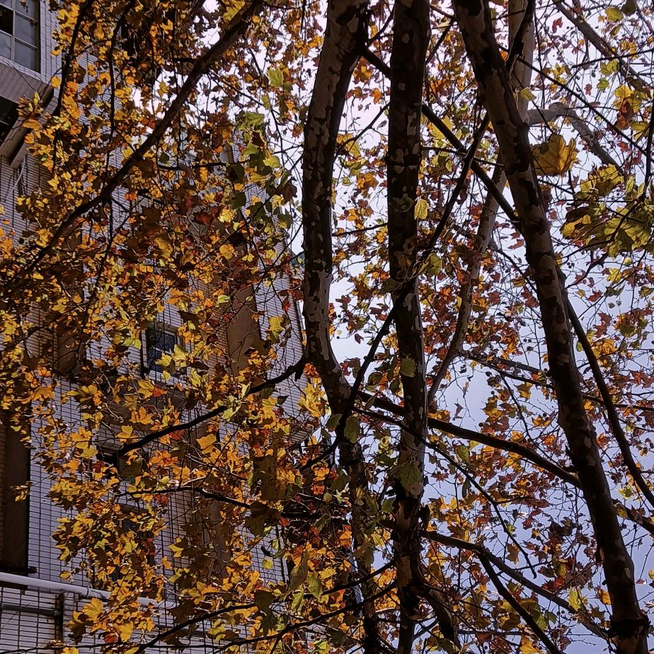 快乐只能在梦里头