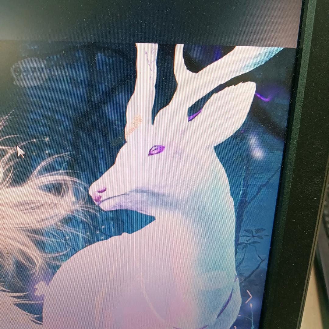 鹿桐