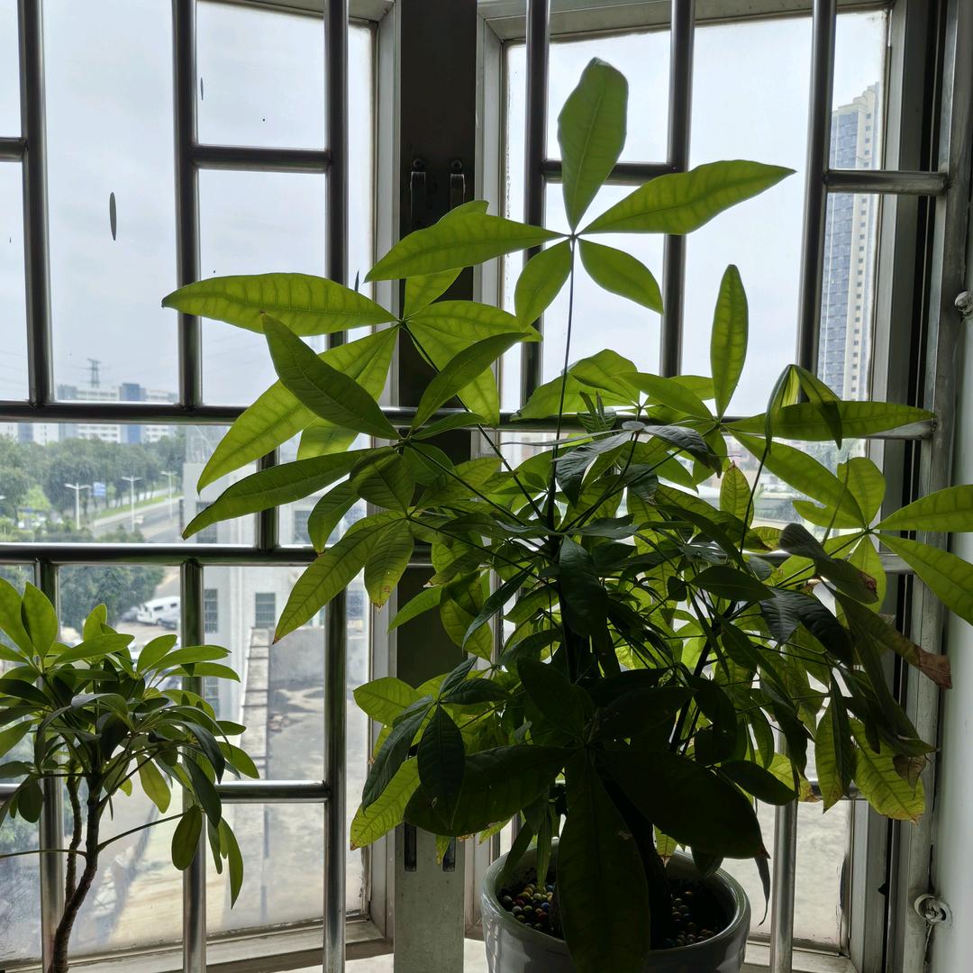 时间会说话