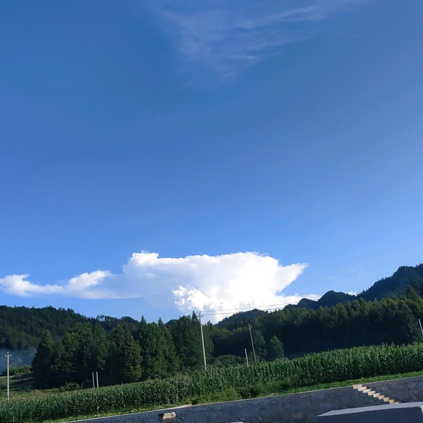 护你周全。