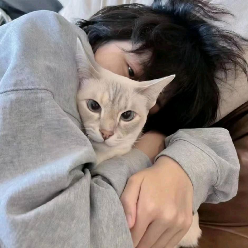 不刷找人弄你