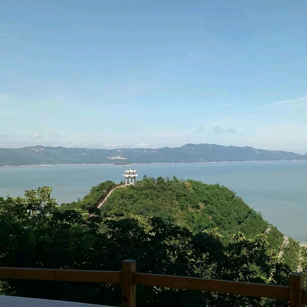 小九019