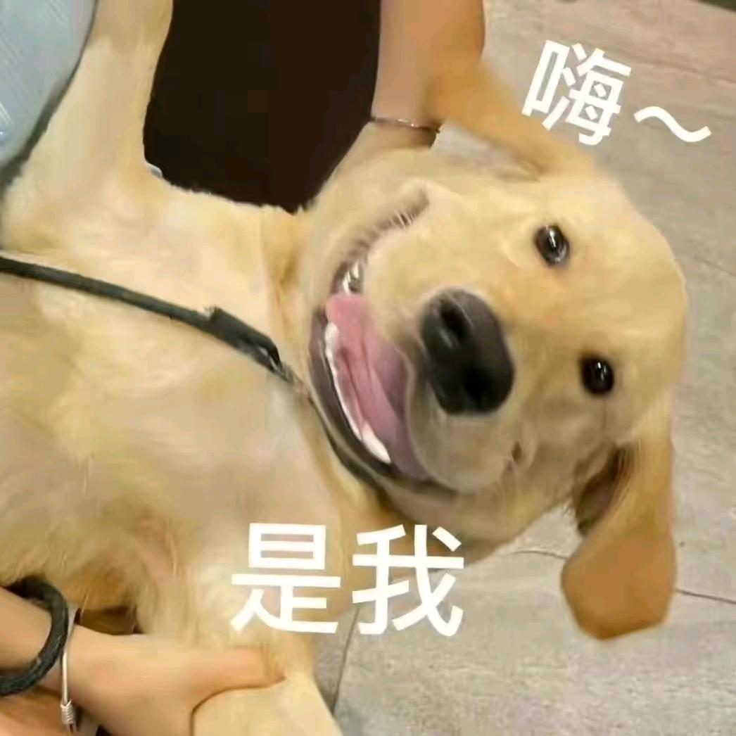 平芜尽处是春山