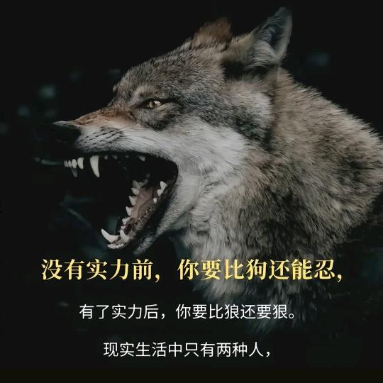老溜流浪记