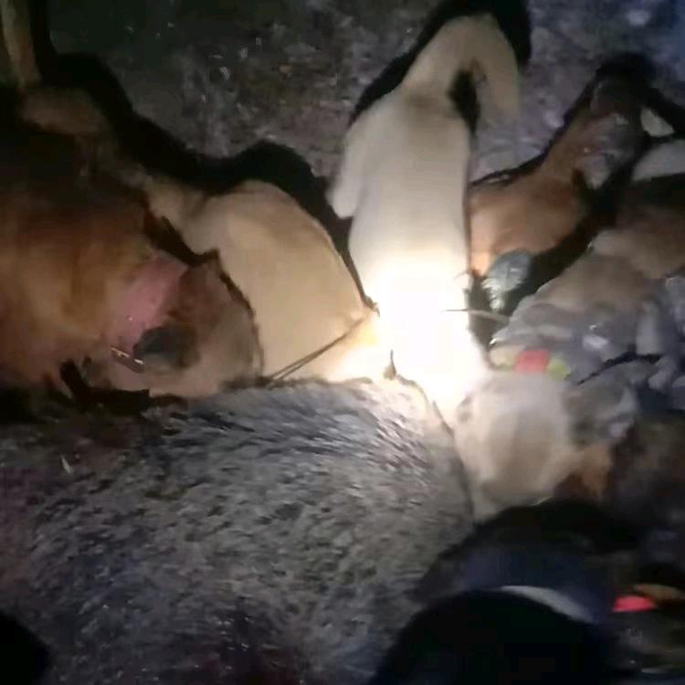 户外小伙