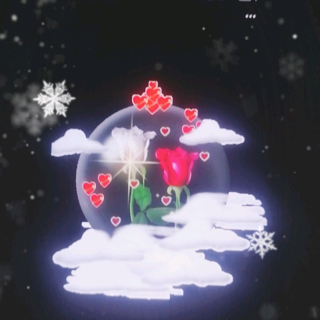 世界❤️与未来……