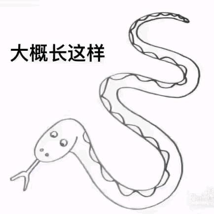 迷雾·