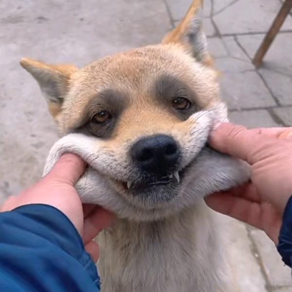 假如给我三天雨姐