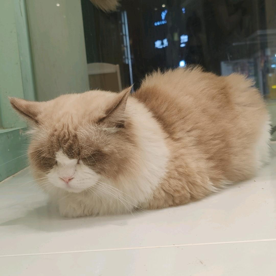 捣鼓捣鼓