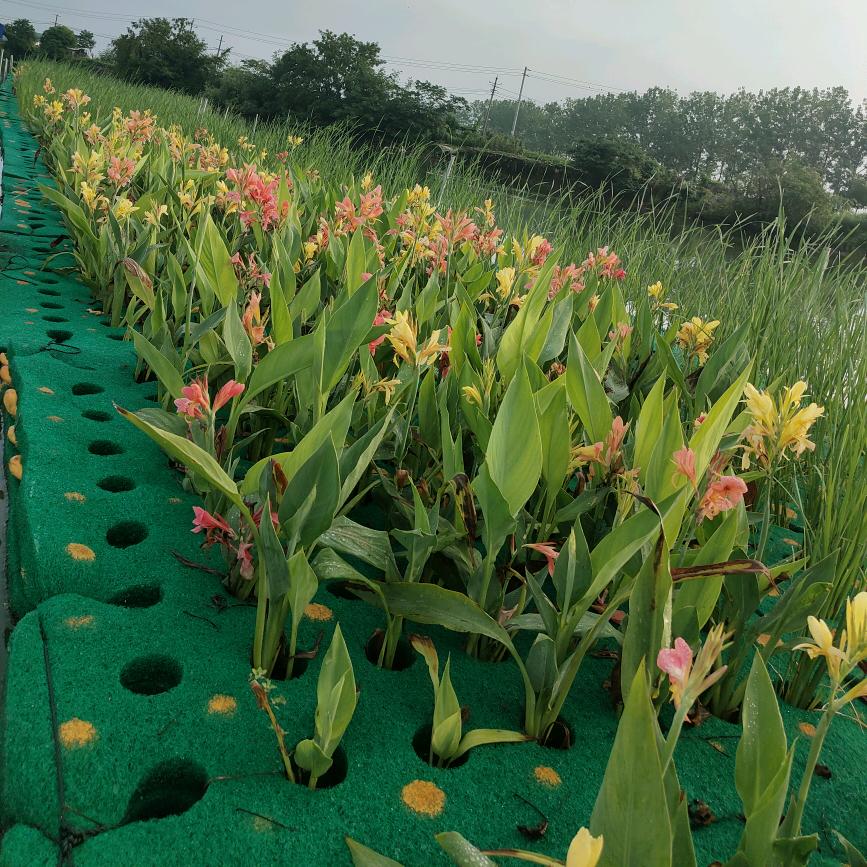 昂璟节能科技有限公司聚酯纤维浮岛生产厂家