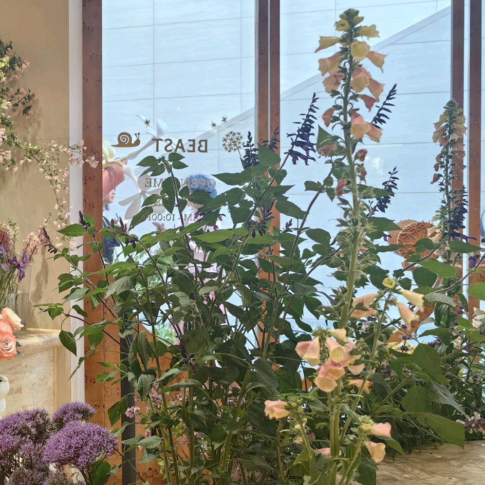 那都不是事儿～