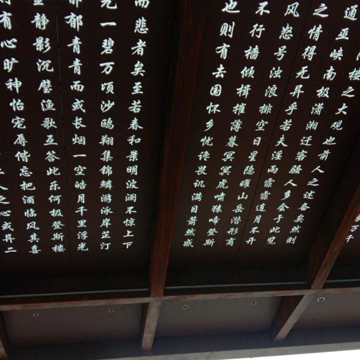 遇见更美、