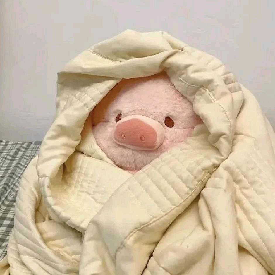 去码头整点薯条