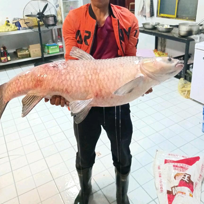 勤奋自强