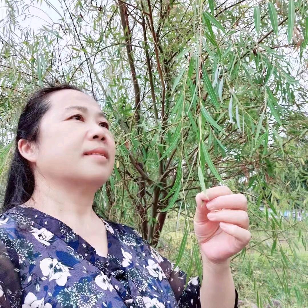 心愿自媒体