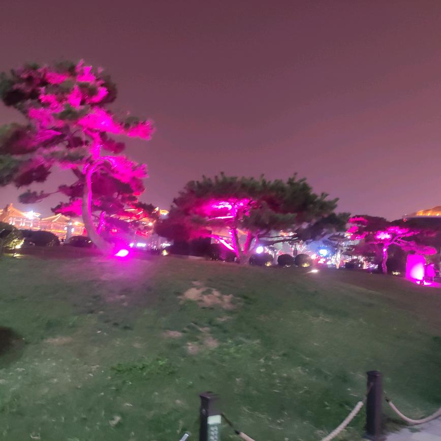 🌹一胡🌹🌹清酒🌝🌝