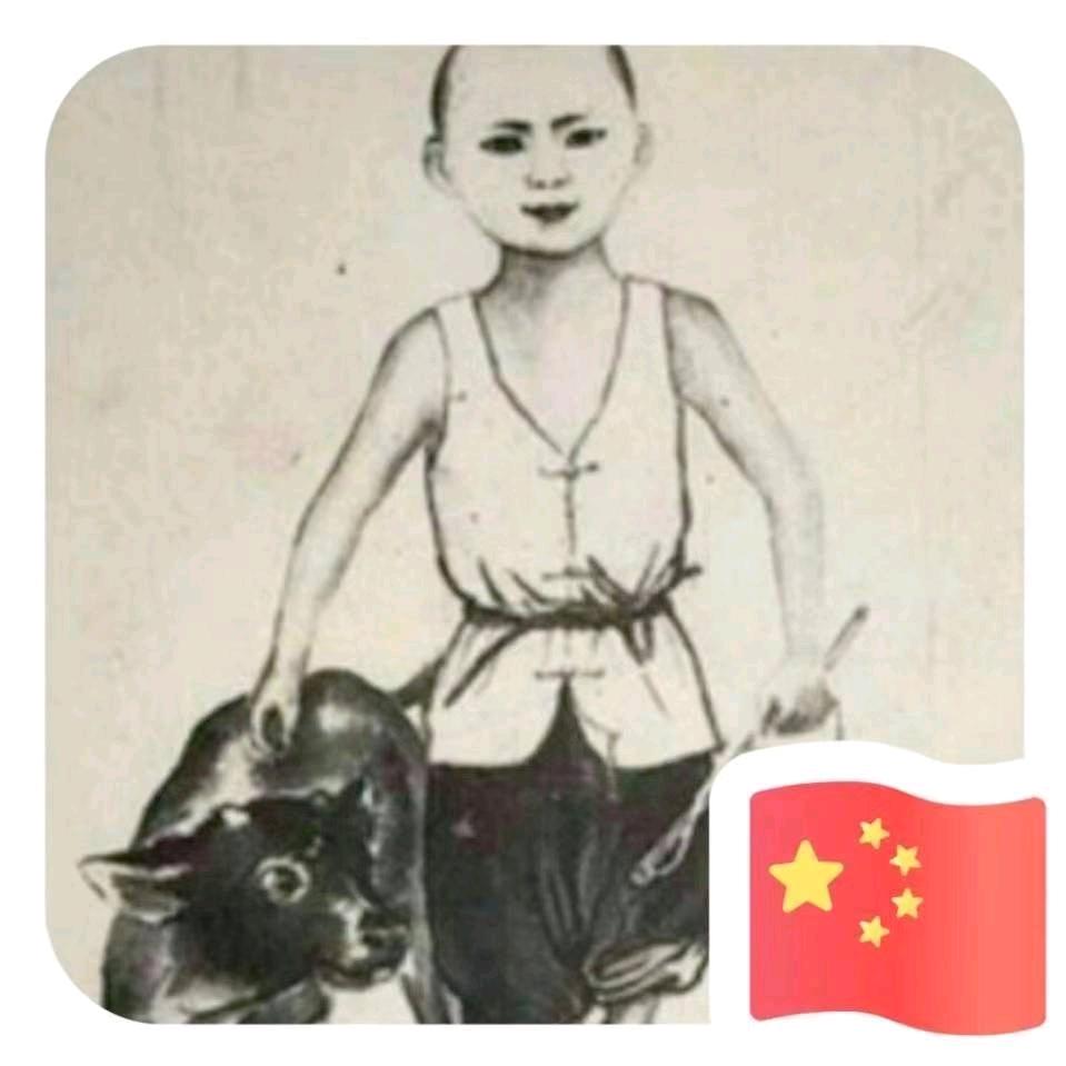 文先生
