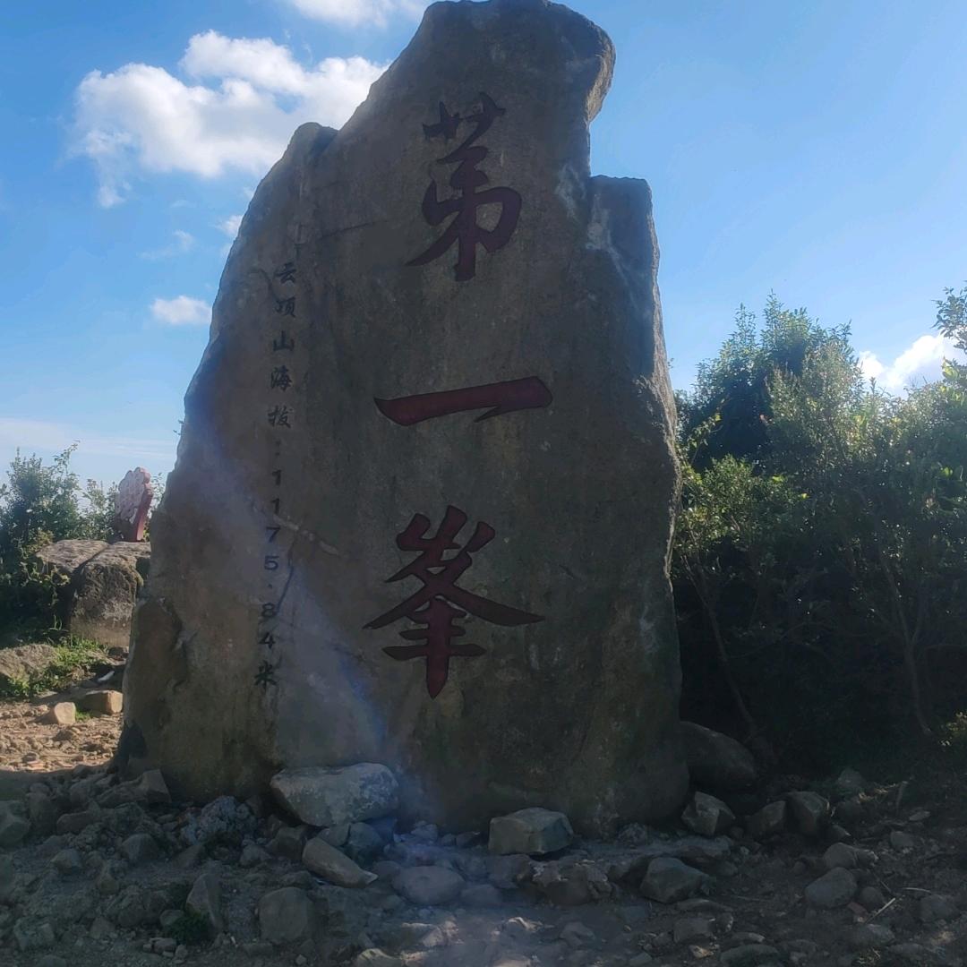 随心亦随性