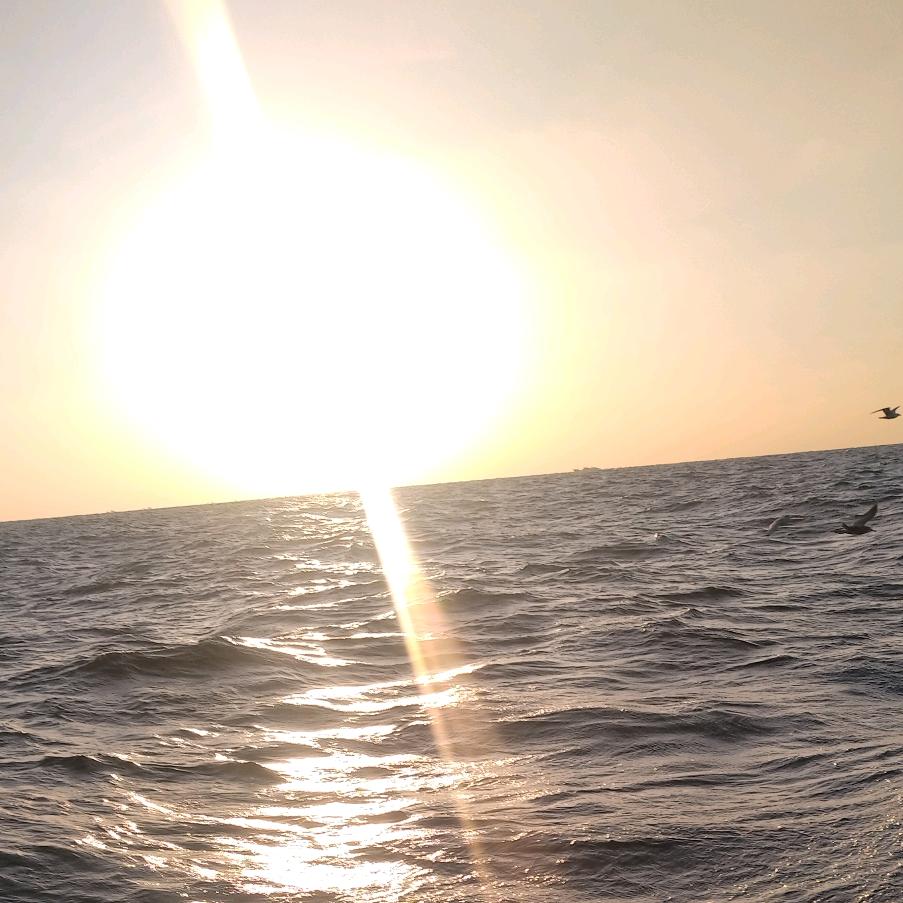 💫꧔᭄ᩚ꯭击💖ོ࿐