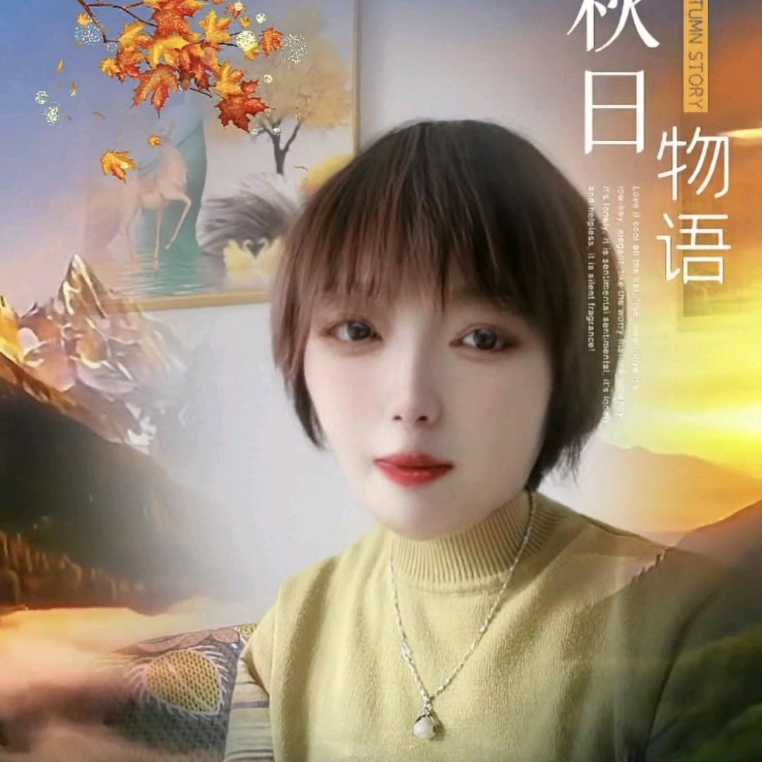 ❤️满天星❤️