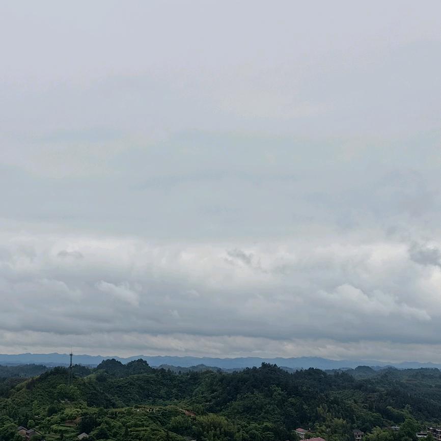 自有定律