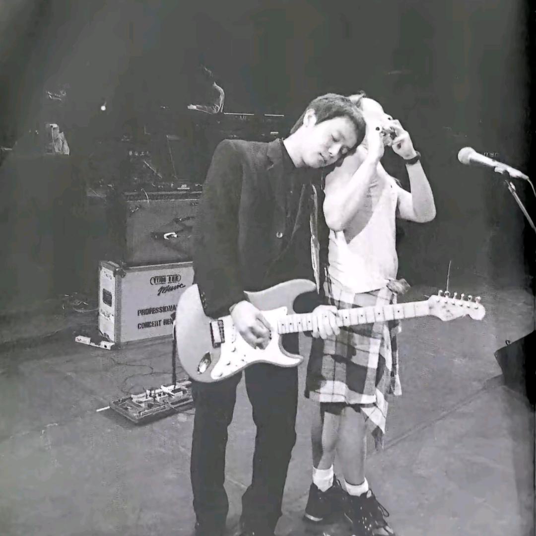 一巴掌拍到电线杆上扣都扣不下来