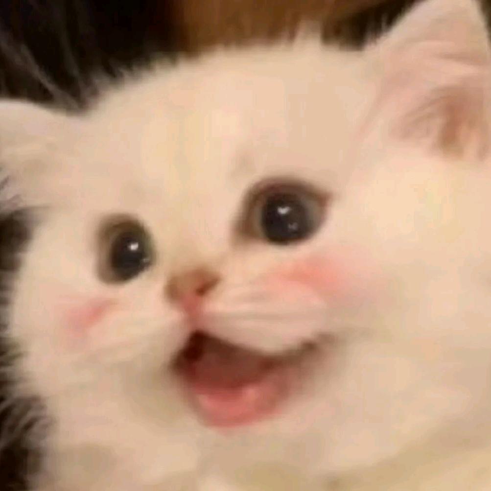 来点水泥