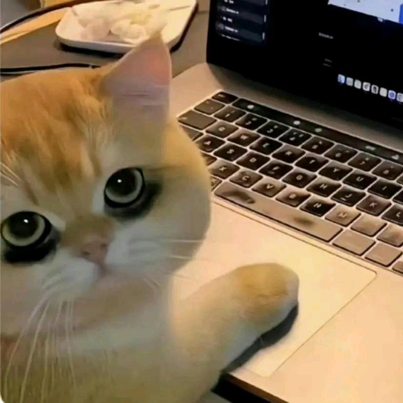 羌不渝