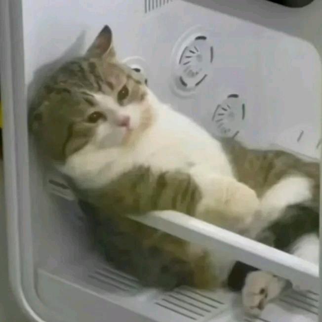 、