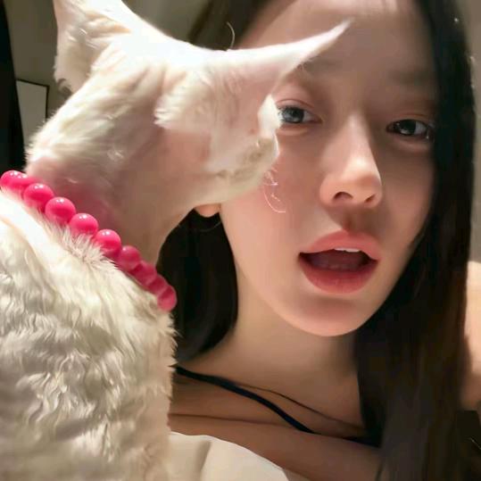 小葵花籽