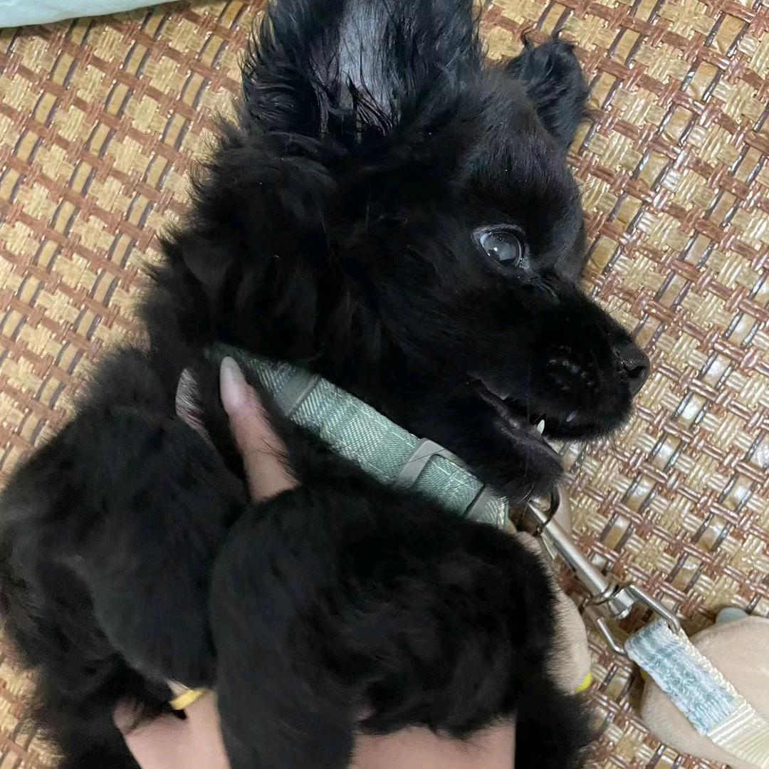 ✊🏻✌🏻🖐🏻