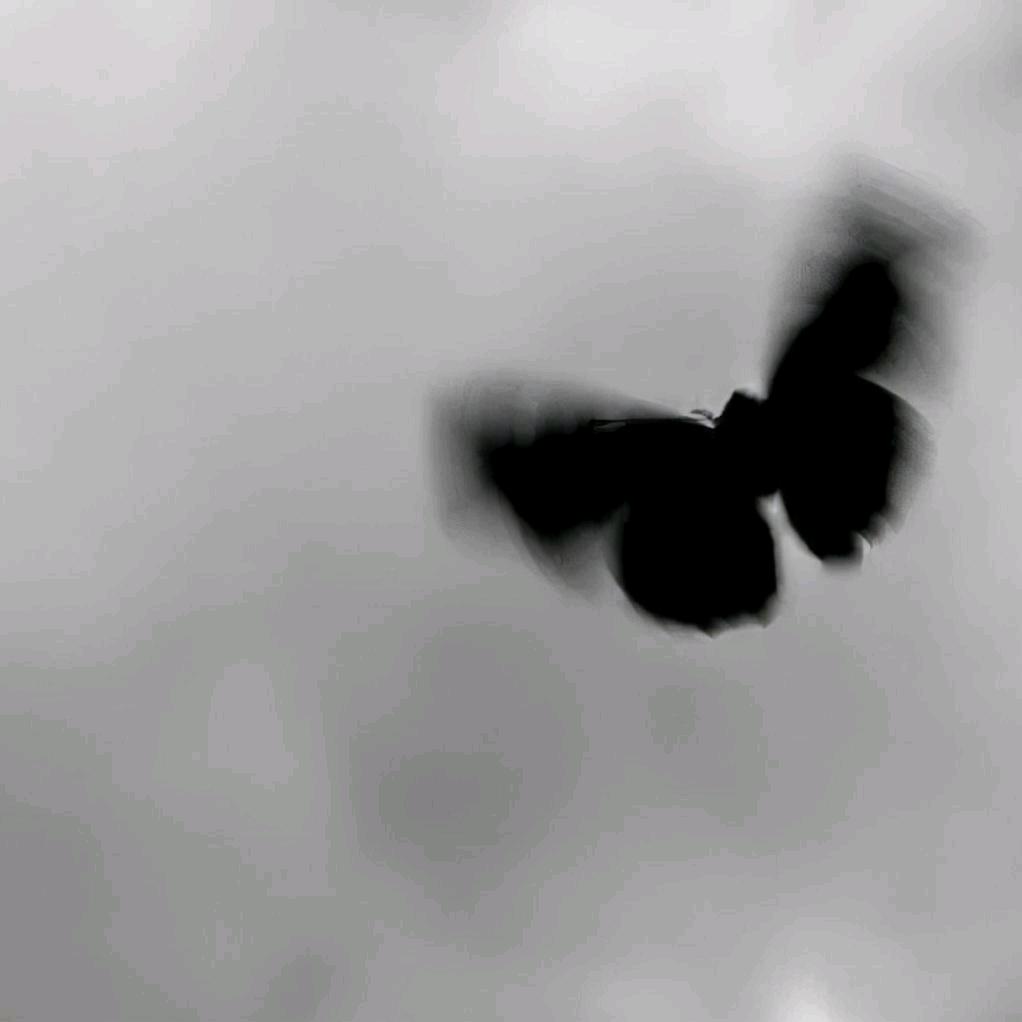 。。。。。。。。