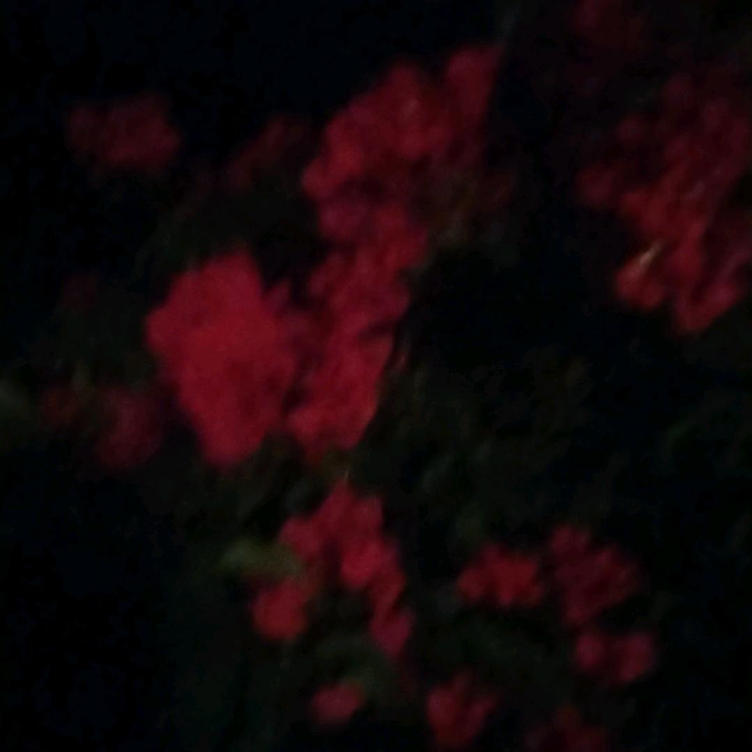 我不是魔！佛奈我何。