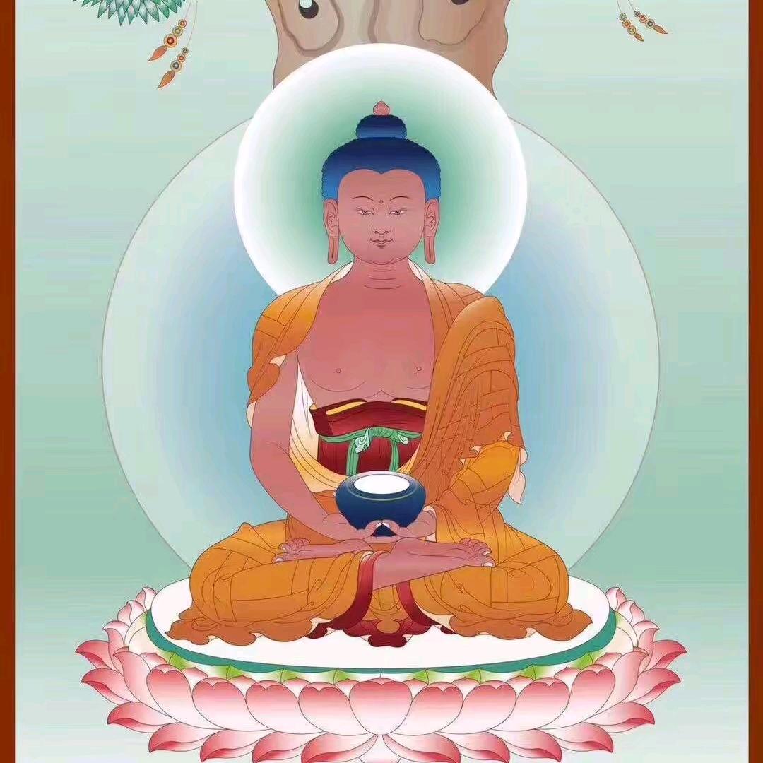 新龙🦅扎西