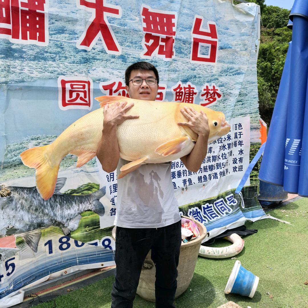 百色鲢鳙大舞台-农