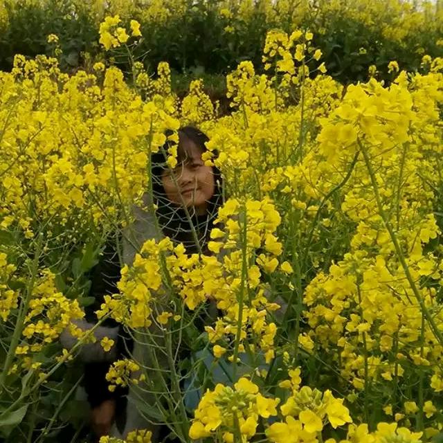 yanzi