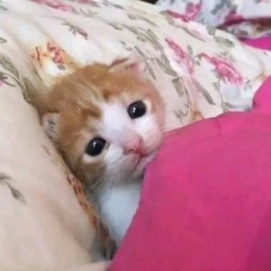 みずちゃま
