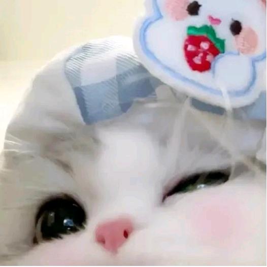 meiyisi.