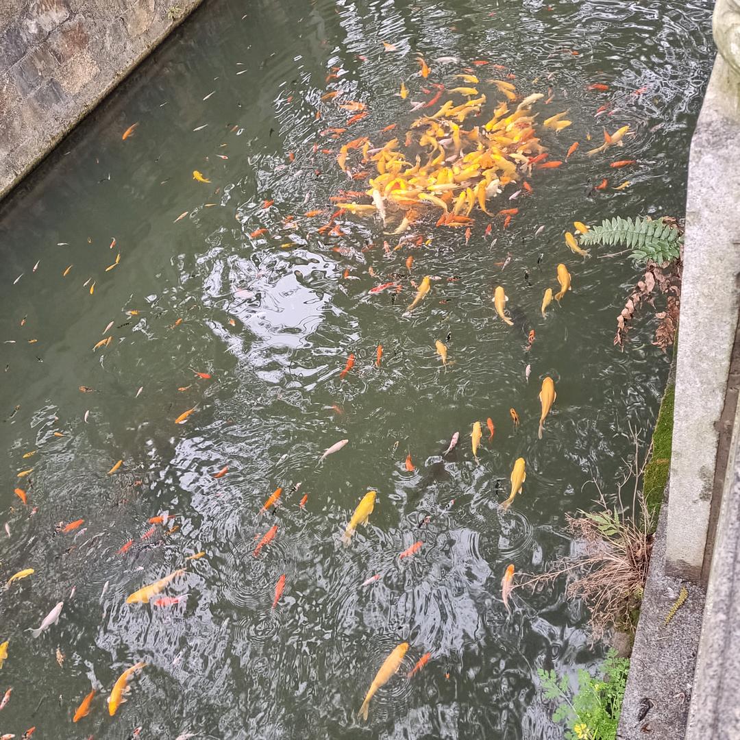 🇨🇳相濡以沫